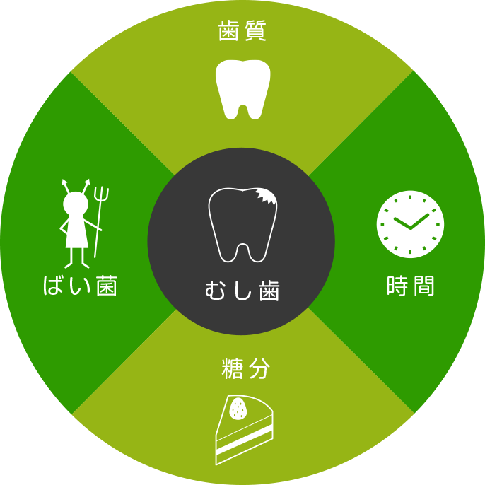 むし歯のサイクル